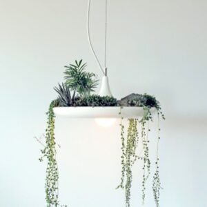 Babylon Light
