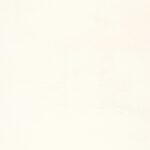 1111 Vivid White