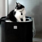 Modkat Litter Box