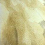 Calf Parchment