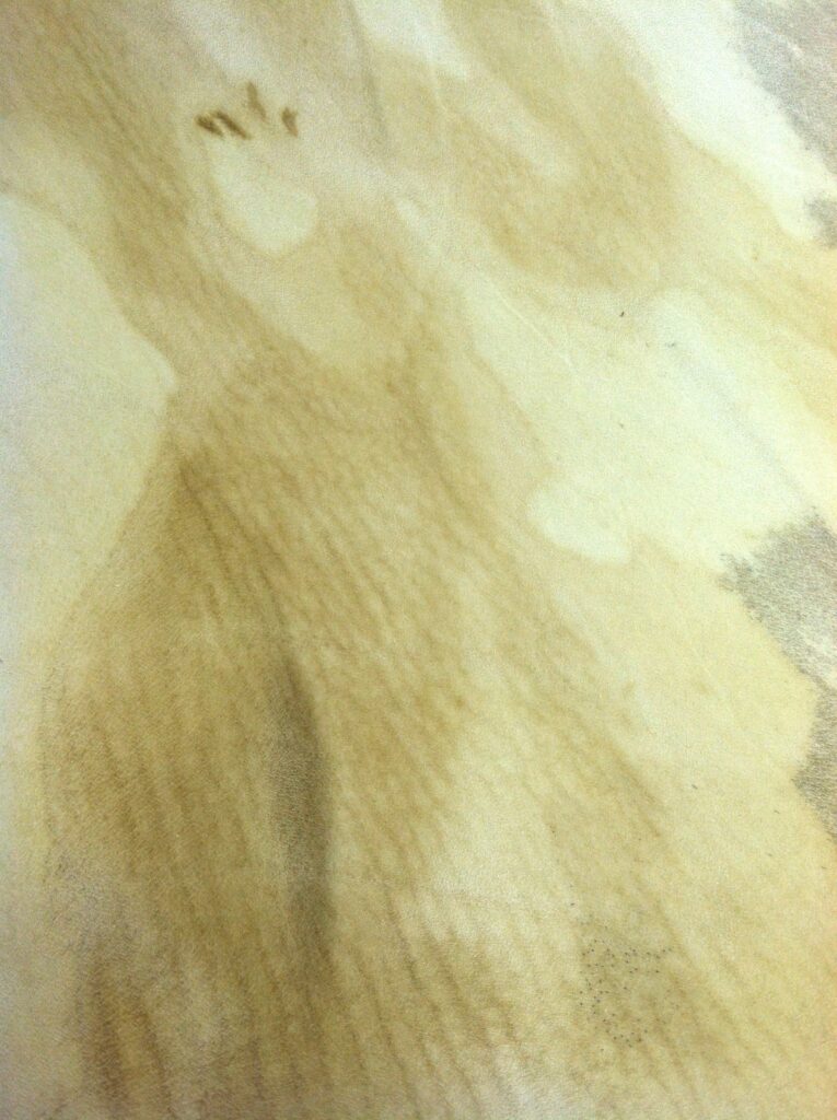 Calf Parchment