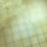 Calf Parchment