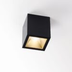 BOXY