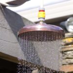 Rainmaker Shower Roses