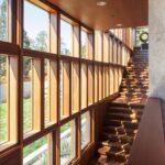 Wood Casement + Awning Windows