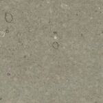 Difiniti Quartz