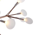 Heracleum II