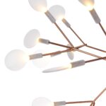 Heracleum II