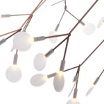 Heracleum II