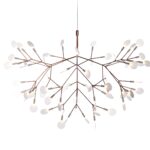 Heracleum II