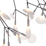 Heracleum II