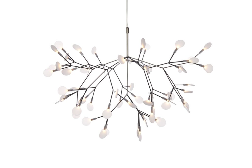 Heracleum II
