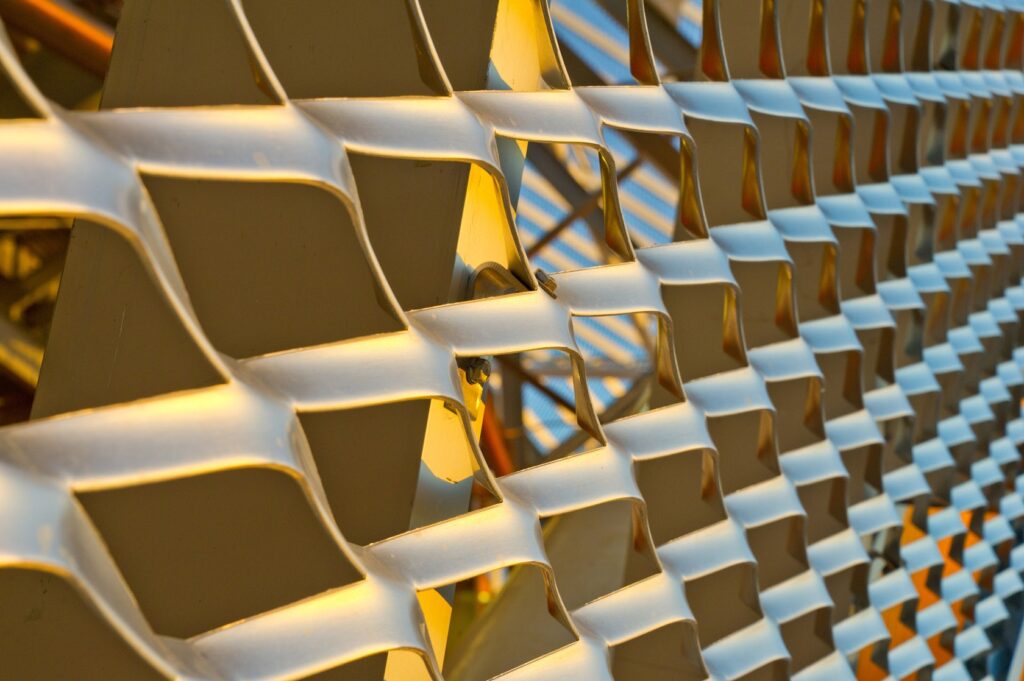 Expanded Mesh