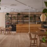 Dinesen Ash