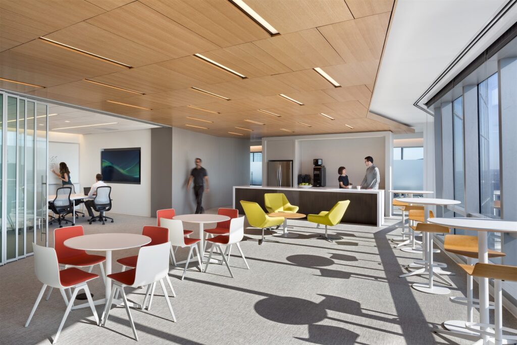 Alta Acoustic Ceiling Panels