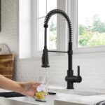 2-in-1 Pull-Down Water Filter Kitchen Faucets