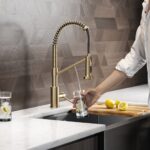 2-in-1 Pull-Down Water Filter Kitchen Faucets