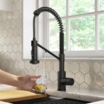 2-in-1 Pull-Down Water Filter Kitchen Faucets