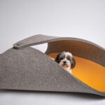 Soft Dog Den