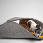 Soft Dog Den