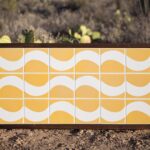 Protz Studio Patterned Ceramic Tiles