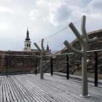 ALBERTO | Clothesline