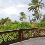 Curved Mountain Laurel Handrail